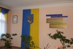 50_image