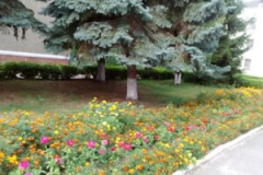 14_image