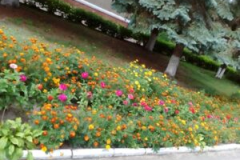 15_image